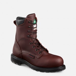 Red Wing SuperSole 2.0 8-inch CSA Seguridad Puntera Boot Multicolor | ZES-692048