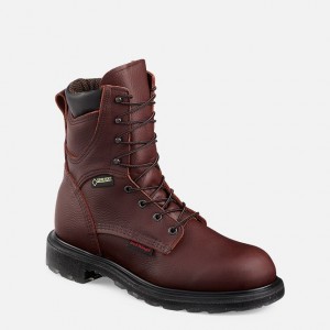 Red Wing SuperSole 2.0 8-inch Impermeables Soft Puntera Boot Multicolor | OUK-721649