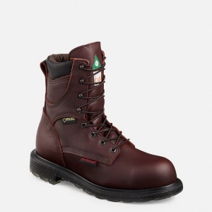 Red Wing SuperSole 2.0 8-inch Insulated Impermeables CSA Seguridad Puntera Boot Multicolor | KAQ-382417