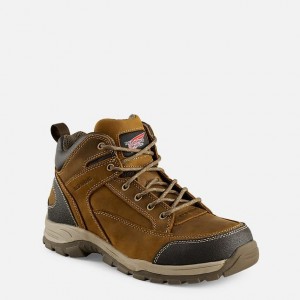 Red Wing TruHiker 5-inch Seguridad Puntera Hiker Boot Multicolor | RUC-651423