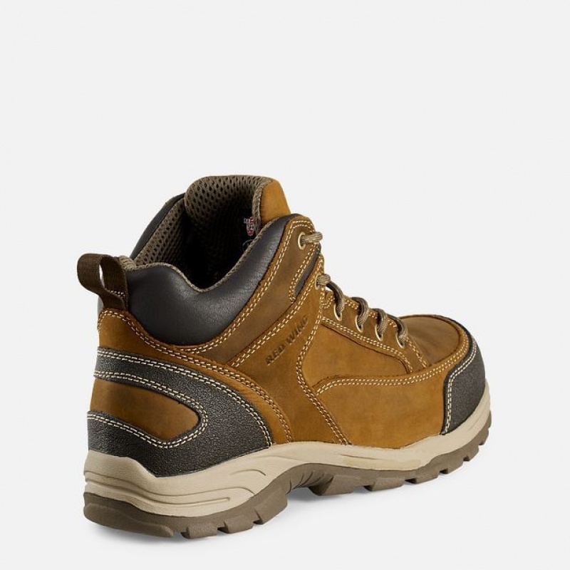 Red Wing TruHiker 5-inch Seguridad Puntera Hiker Boot Multicolor | RUC-651423