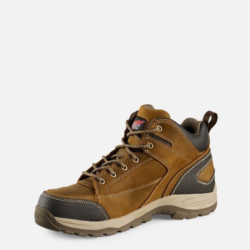 Red Wing TruHiker 5-inch Seguridad Puntera Hiker Boot Multicolor | XNZ-018237